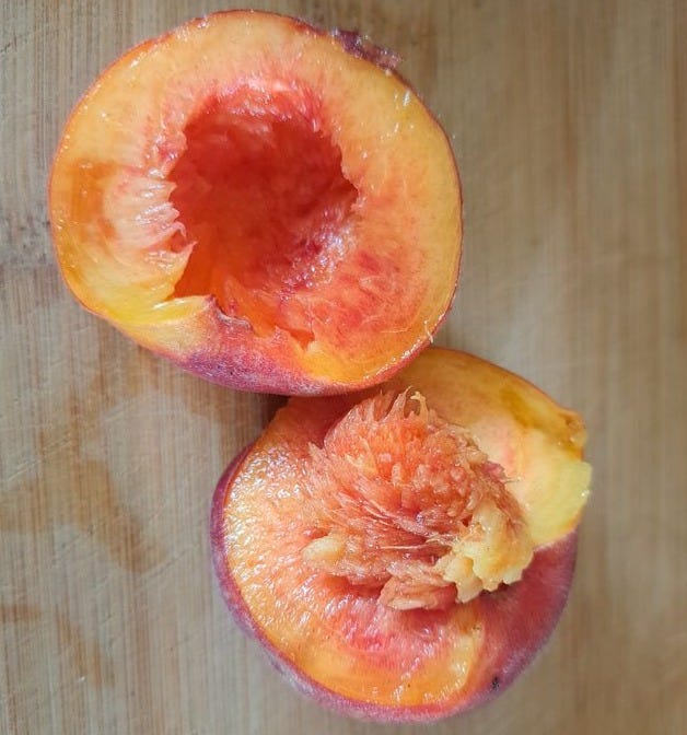 peach fruit cut in half