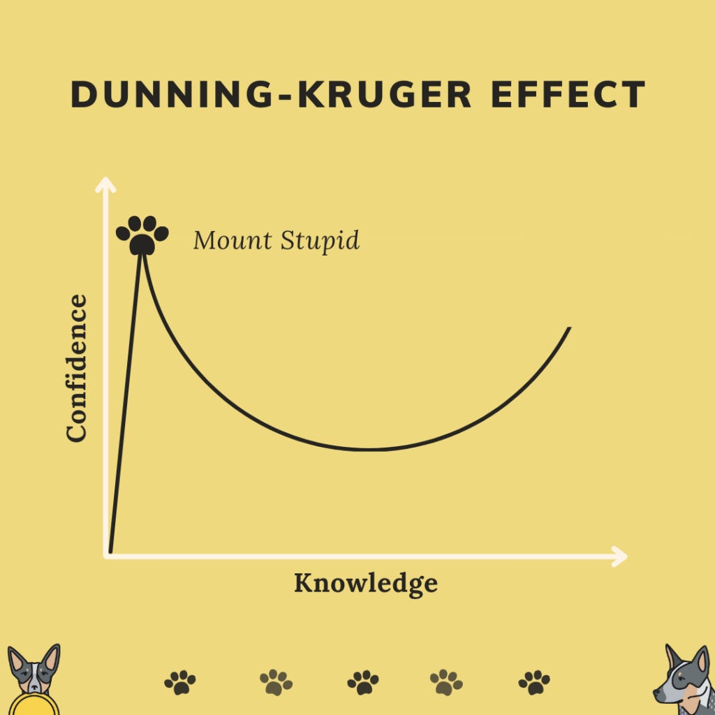 A graph of the Dunning Kruger effect highlighting a peak in confidence while knowledge was still slim