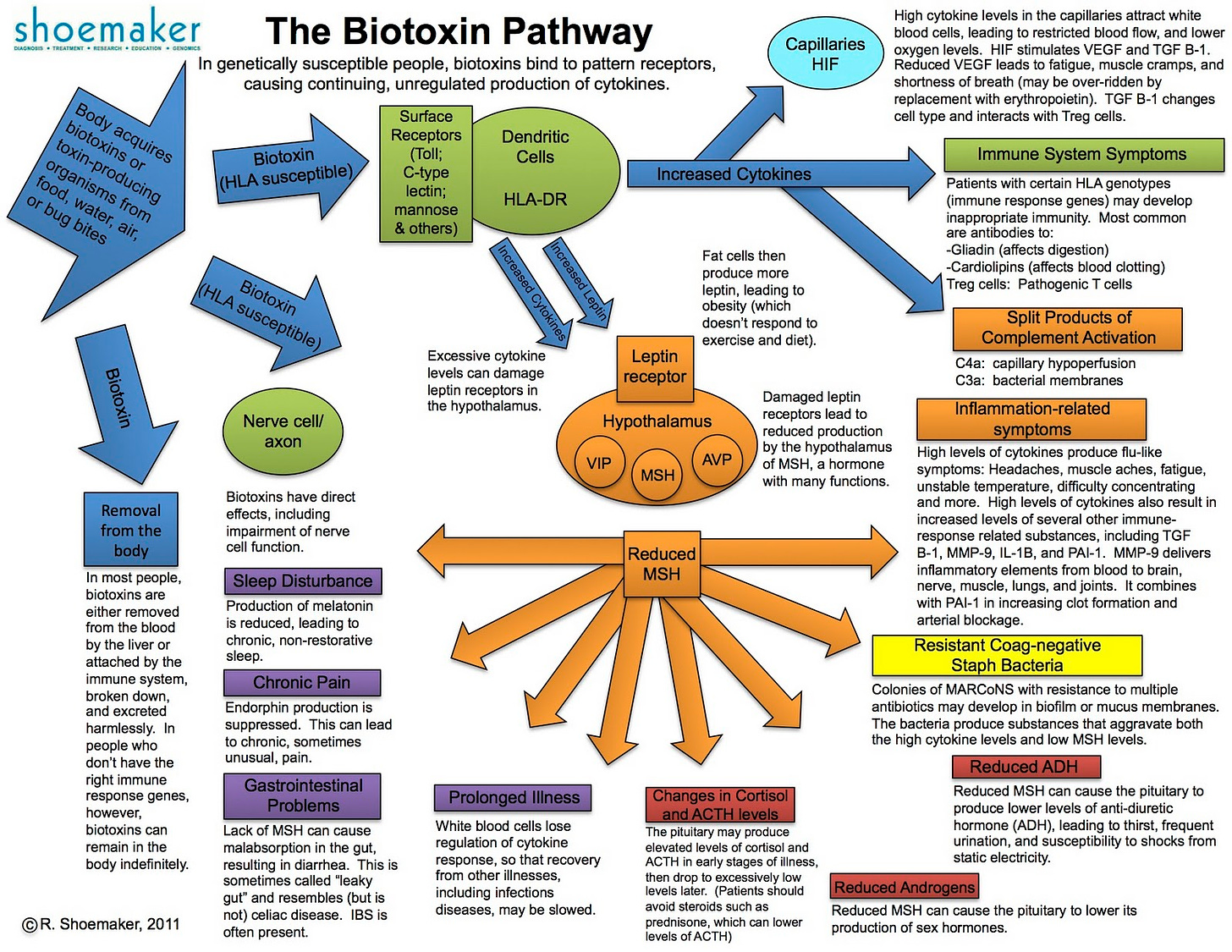 Biotoxin•Wars: Biotoxin Illness