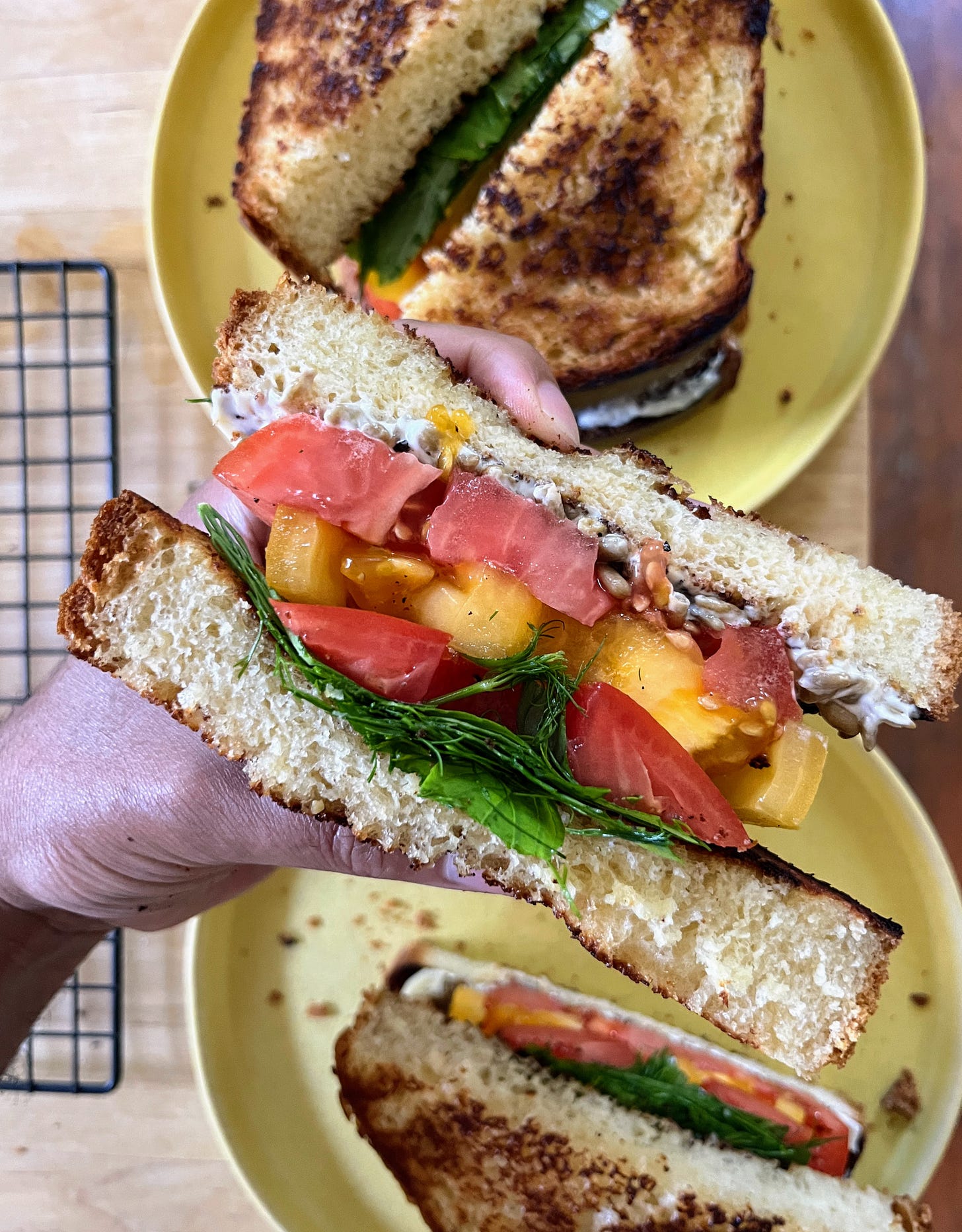 hand holding finished tomato sandwich