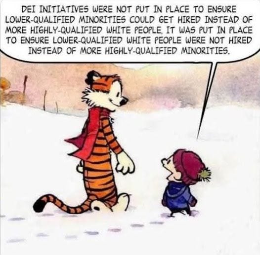 May be an image of text that says 'DEI INITIATIVES WERE NOT PUT IN PLACE To ENSURE LOWER-QUALIFIED MINORITIES COULD GET HIRED INSTEAD OF MORE HIGHLY HIGHLY-QUALIFIED QUALIFIED WHITE PEOPLE, IT WAS PUT IN PLACE TO ENSURE LOWER-QUALIFIED WHITE PEOPLE WERE NOT HIRED INSTEAD OF MORE HIGHLY-QUALIFIED MINORITIES.'