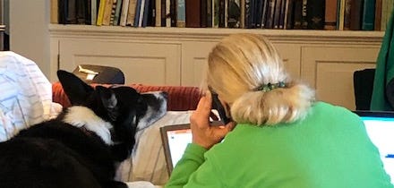 Writer and dog in deep contemplation in front of computer