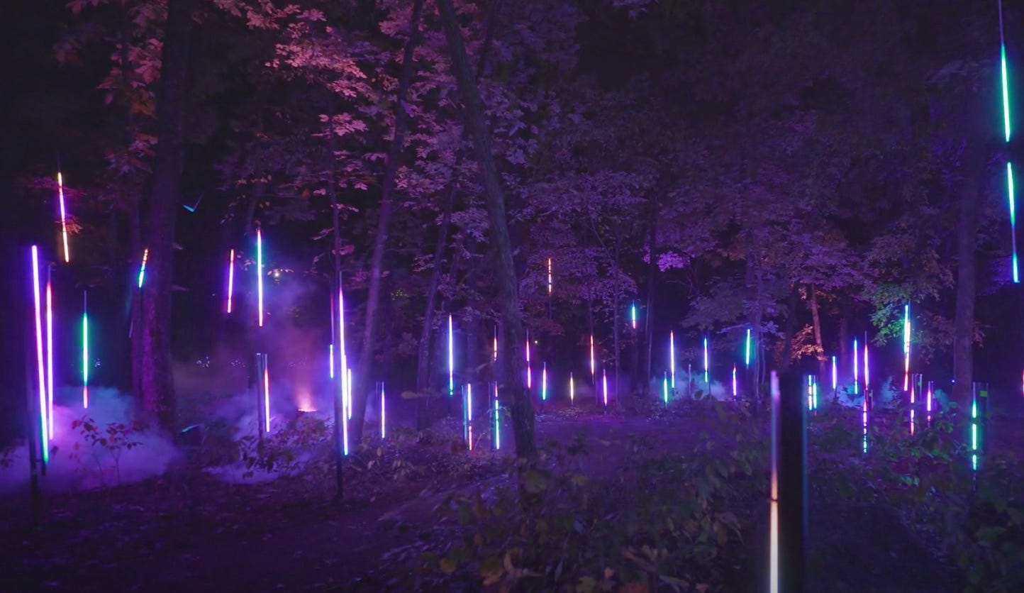 Light bars shoot bolts of purple, blue, red, and turquoise from the forest floor toward the shadow-laden canopy of the trees.