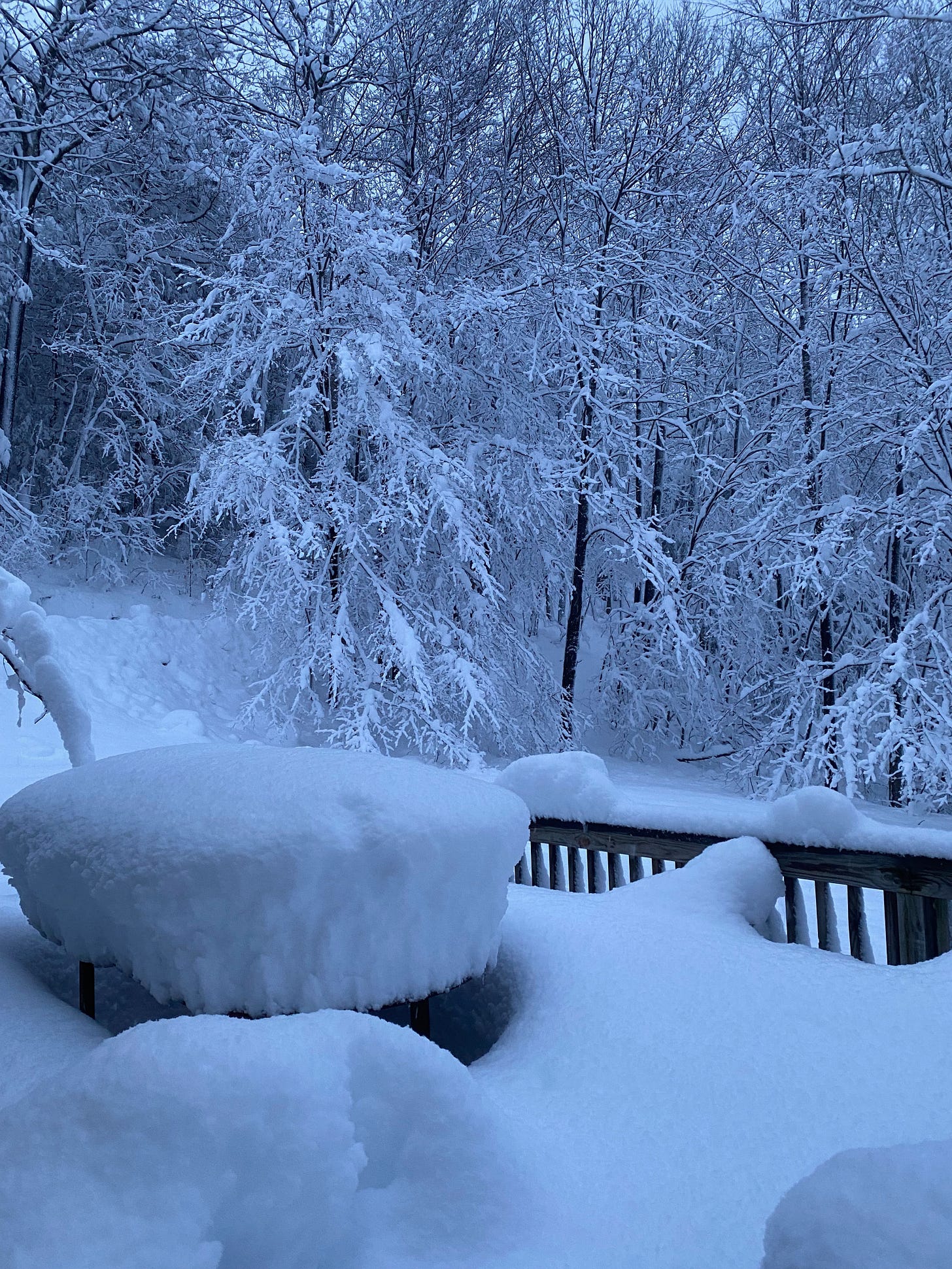 Two feet of snow piled on top of an outdoor table on my porch, surrounded by snow-covered trees.