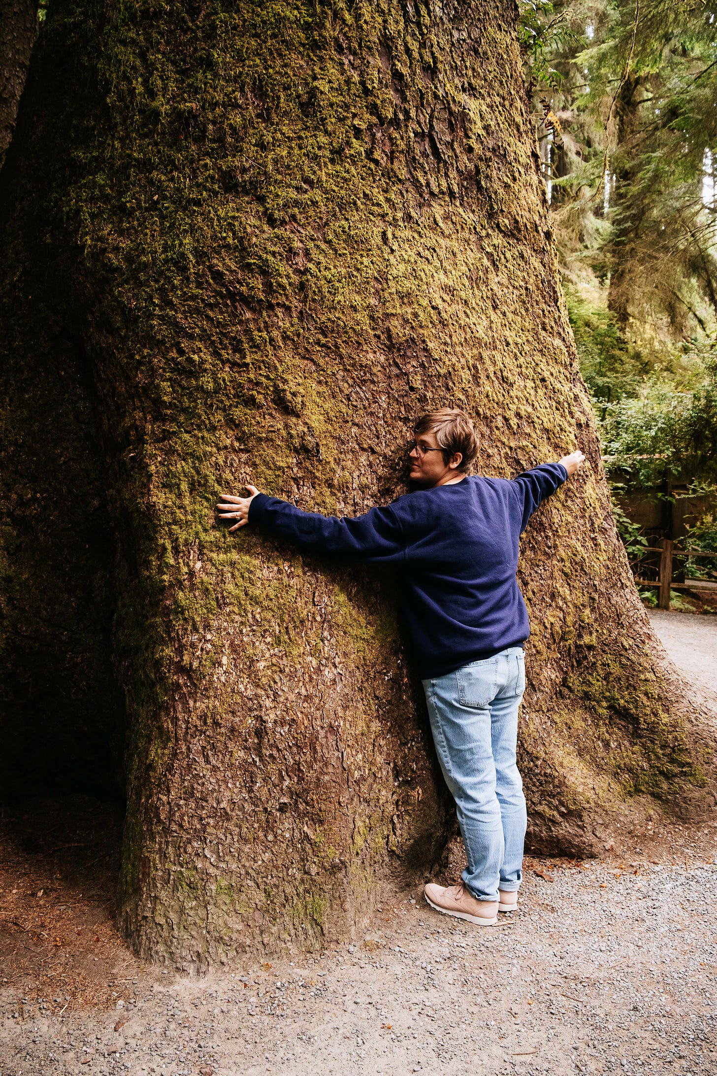 DL hugging the trunk of a huge redwood tree.