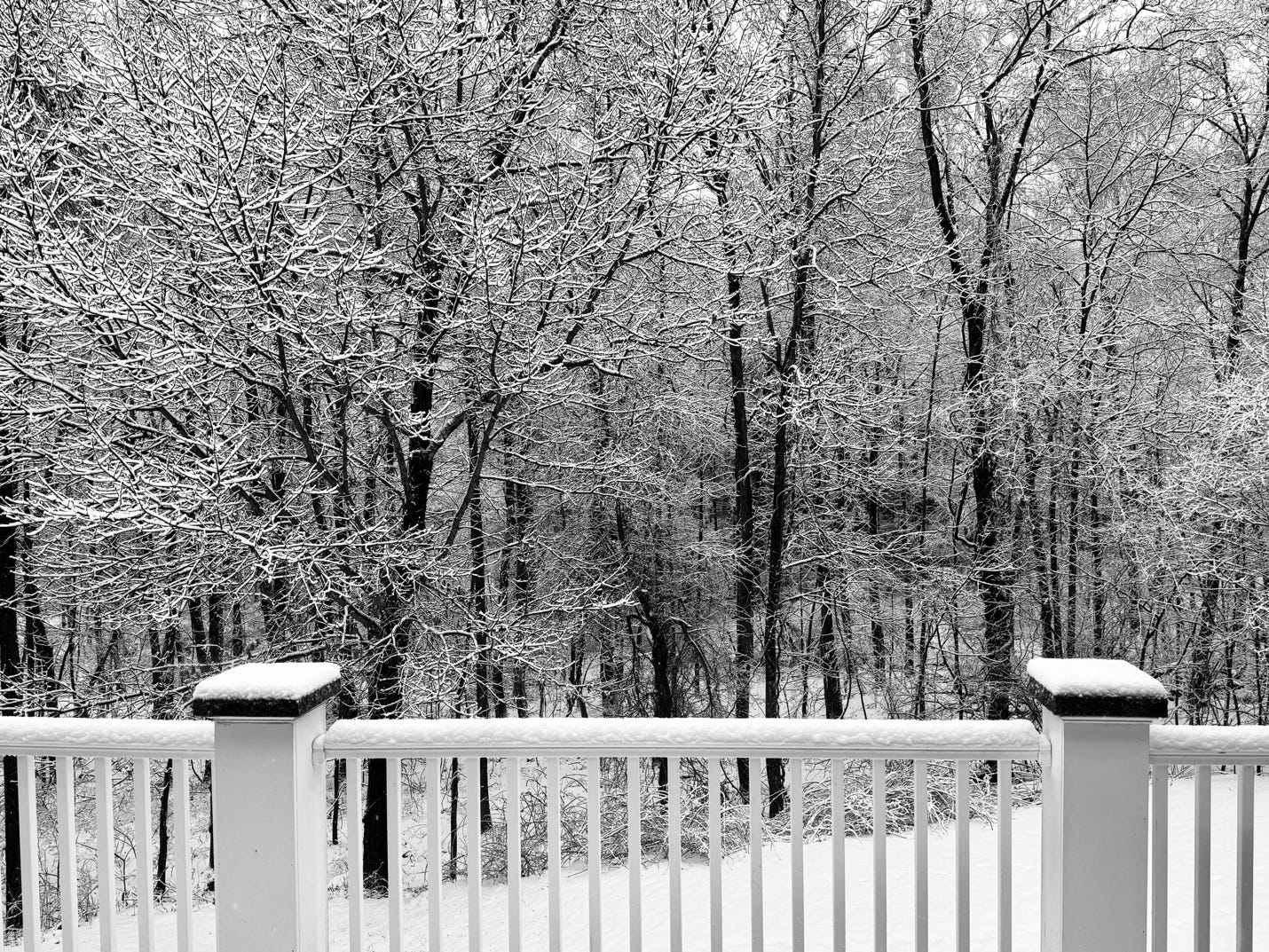 A snowy deck with trees in the background

AI-generated content may be incorrect.