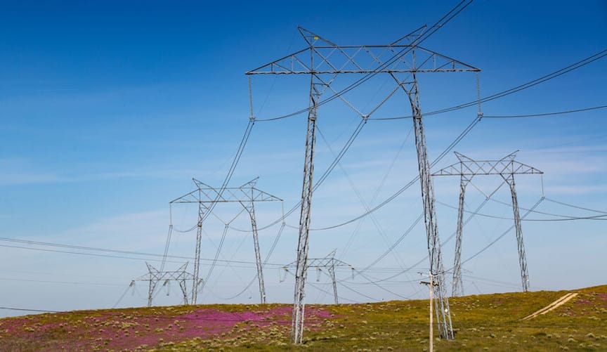Large metal transmission towers and power lines traverse a grassy hill covered in spots with fields of magenta flowers