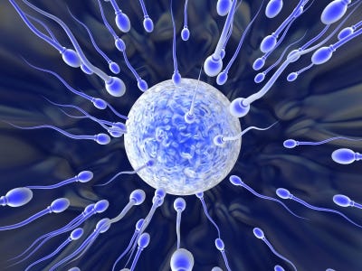 How egg greets sperm - F1000 Blogs