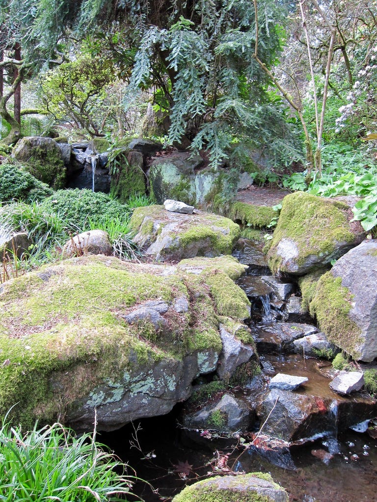 A naturalistic creek tumbling through rocks and boulders down an incline, through trees and moss covered rocks.