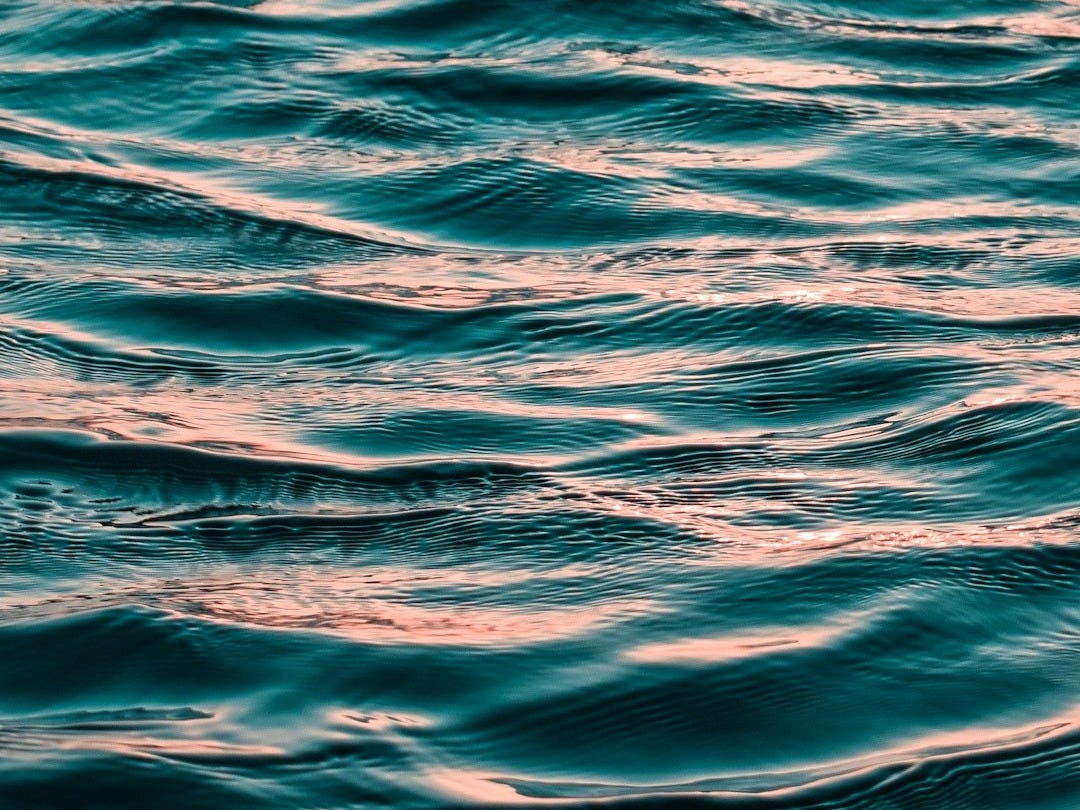 photo of ocean water