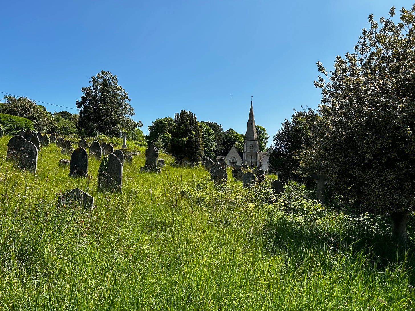 A church and cemetery surrounded by nature.