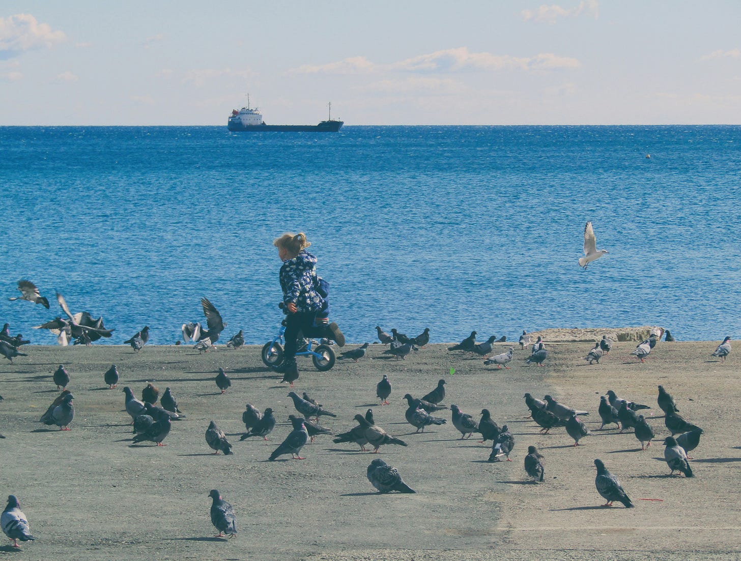 A small child plays on a quay covered in pigeons, in the background there is an ocean and a cargo ship.