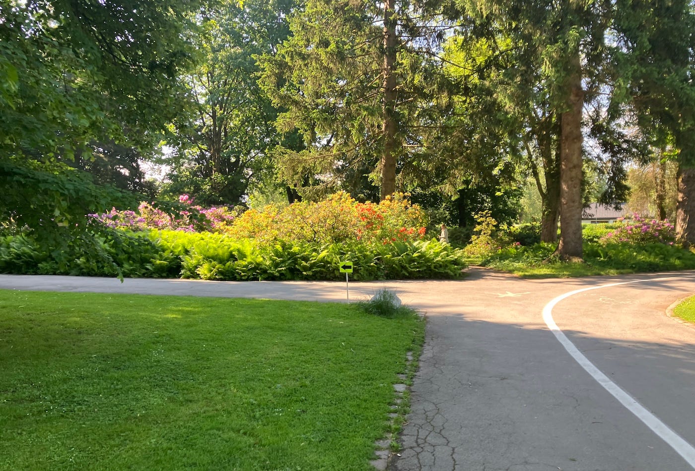 A parkrun arrow in front of a colourful flower bed in a well-maintained park
