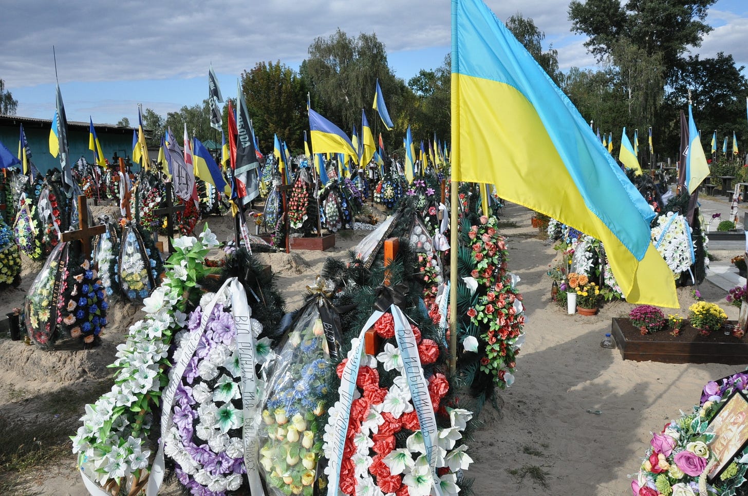 Alley of Heroes in Kiyv: Kyiv. Alley of Heroes at Lysove cemetery. Rows ...