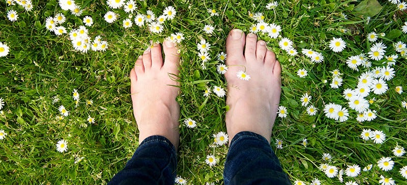 Earthing: 5 Ways It Can Help You Fight Disease - Dr. Axe