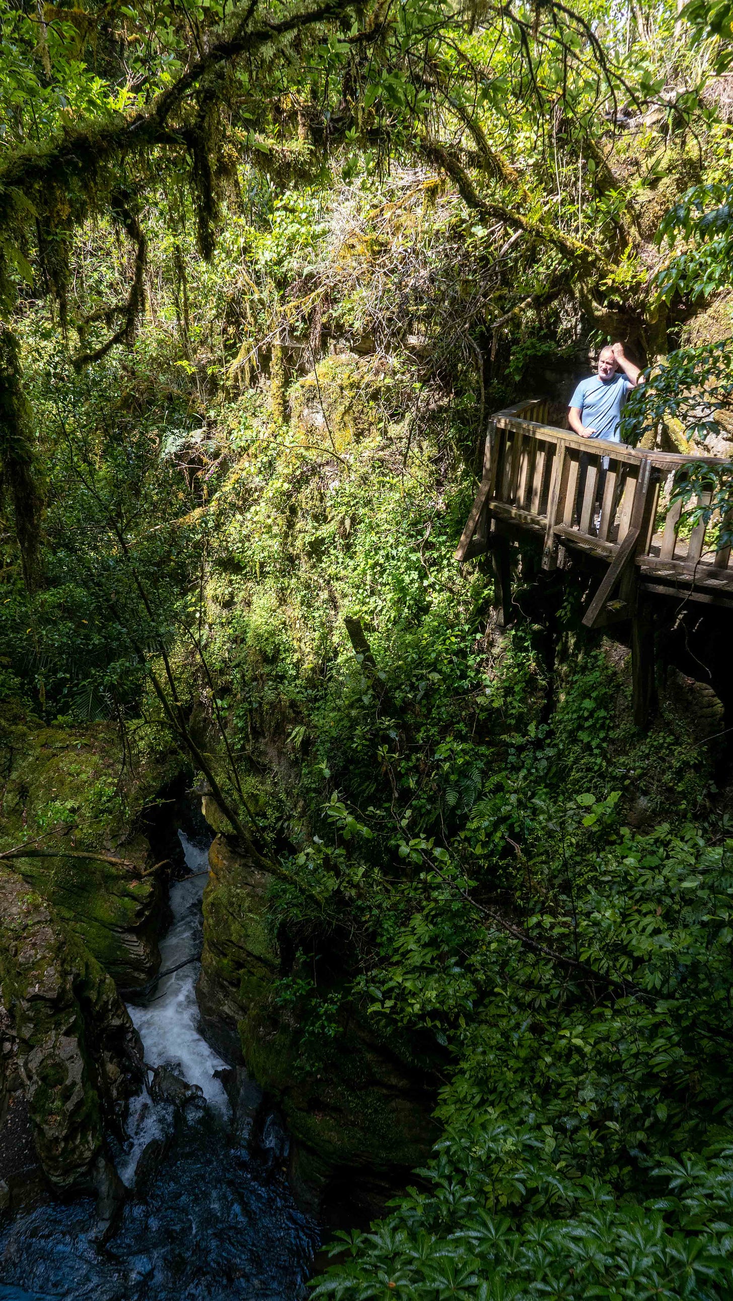 A lush gorge with almost vertical sides, with a wooden platform attached to one of the cliffs. The river can be seen far below.