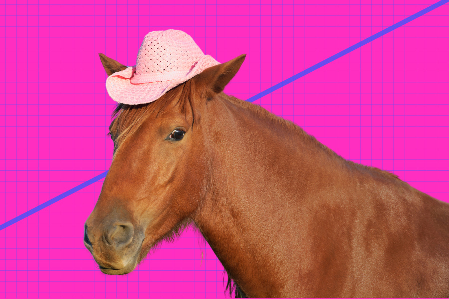 Horse in a pink hat