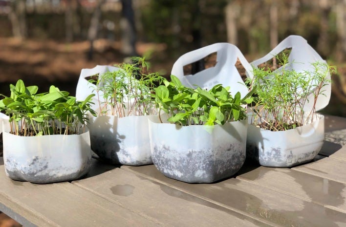 Winter Sowing | A Simple Way to Start Seeds Outdoors | joe gardener®