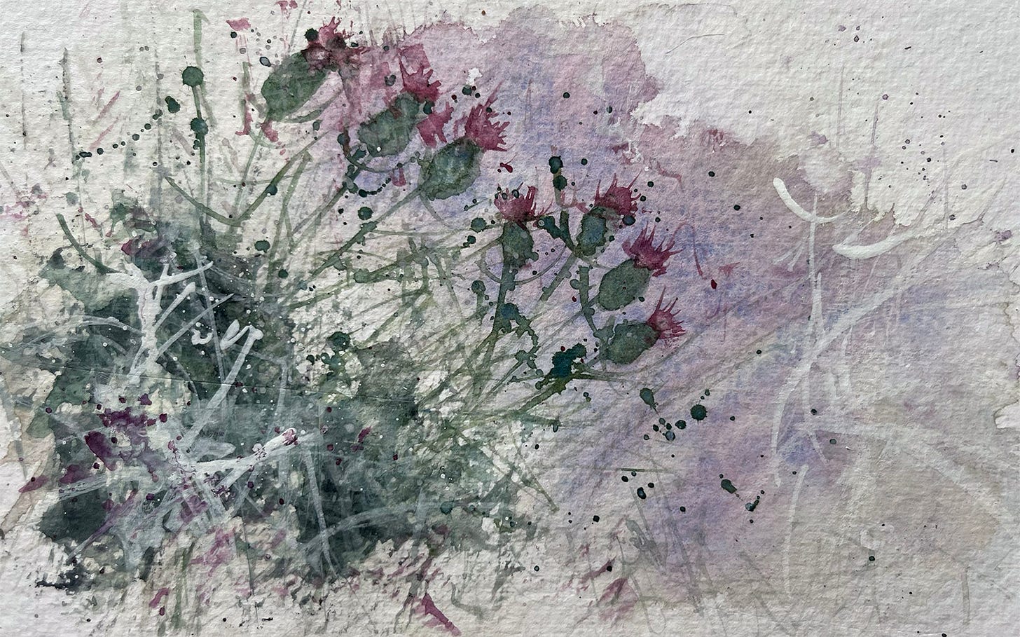 A watercolour sketch of thistles by artist Michela Griffith