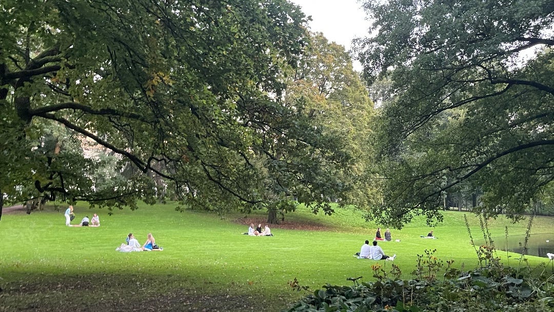 people sitting on the ground in a green park