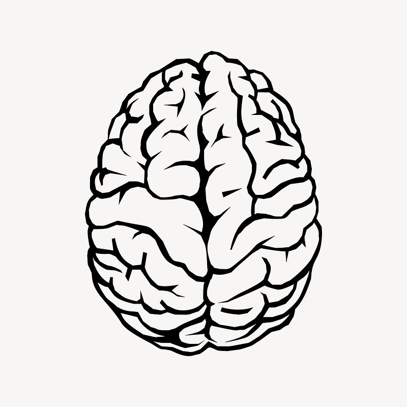 Black And White Brain Images | Free Photos, PNG Stickers, Wallpapers &  Backgrounds - rawpixel
