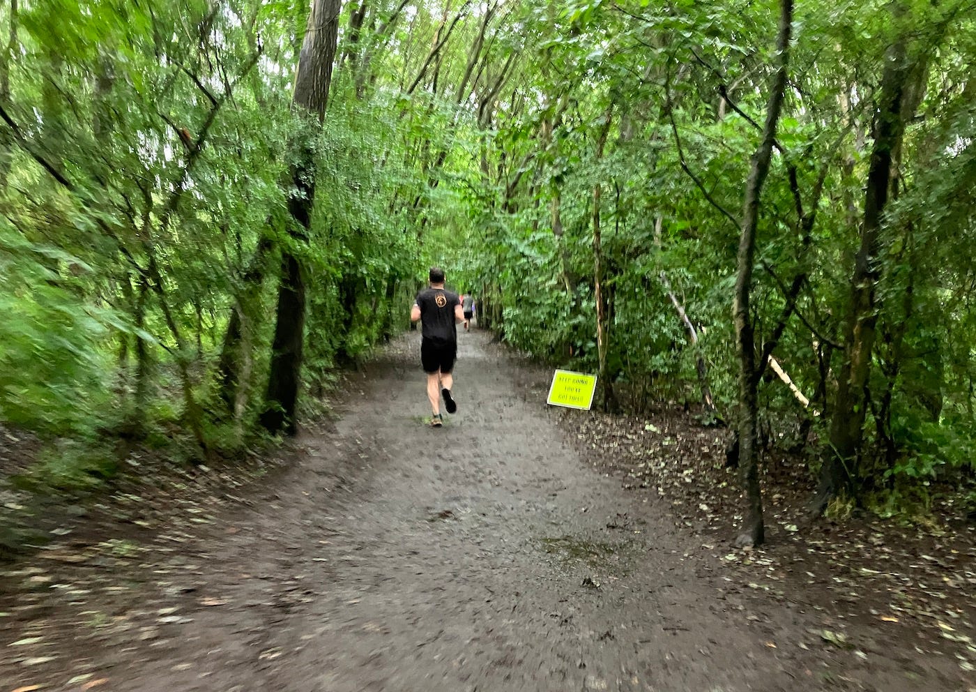 Wide muddy path over shadowed by trees