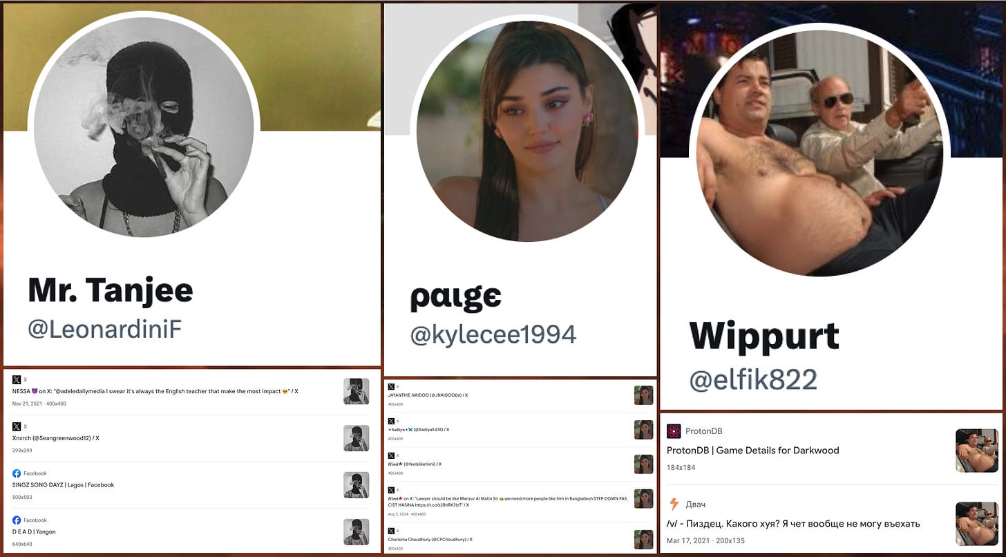 profile images of three of the accounts in the network, and reverse image searches demonstrating the images are plagiarized