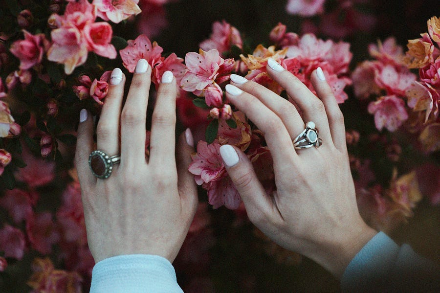Person touching pink flowers in garden Person touching pink flowers in garden