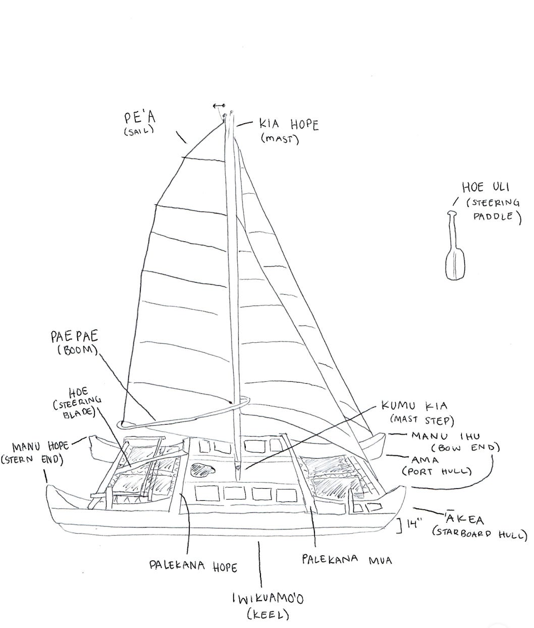 drawing of catamaran voyaging canoe to better understand anatomy in English and Hawaiian 