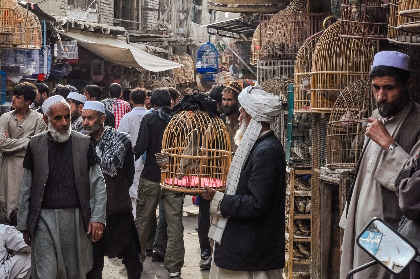 The bird seller market in old Kabul
