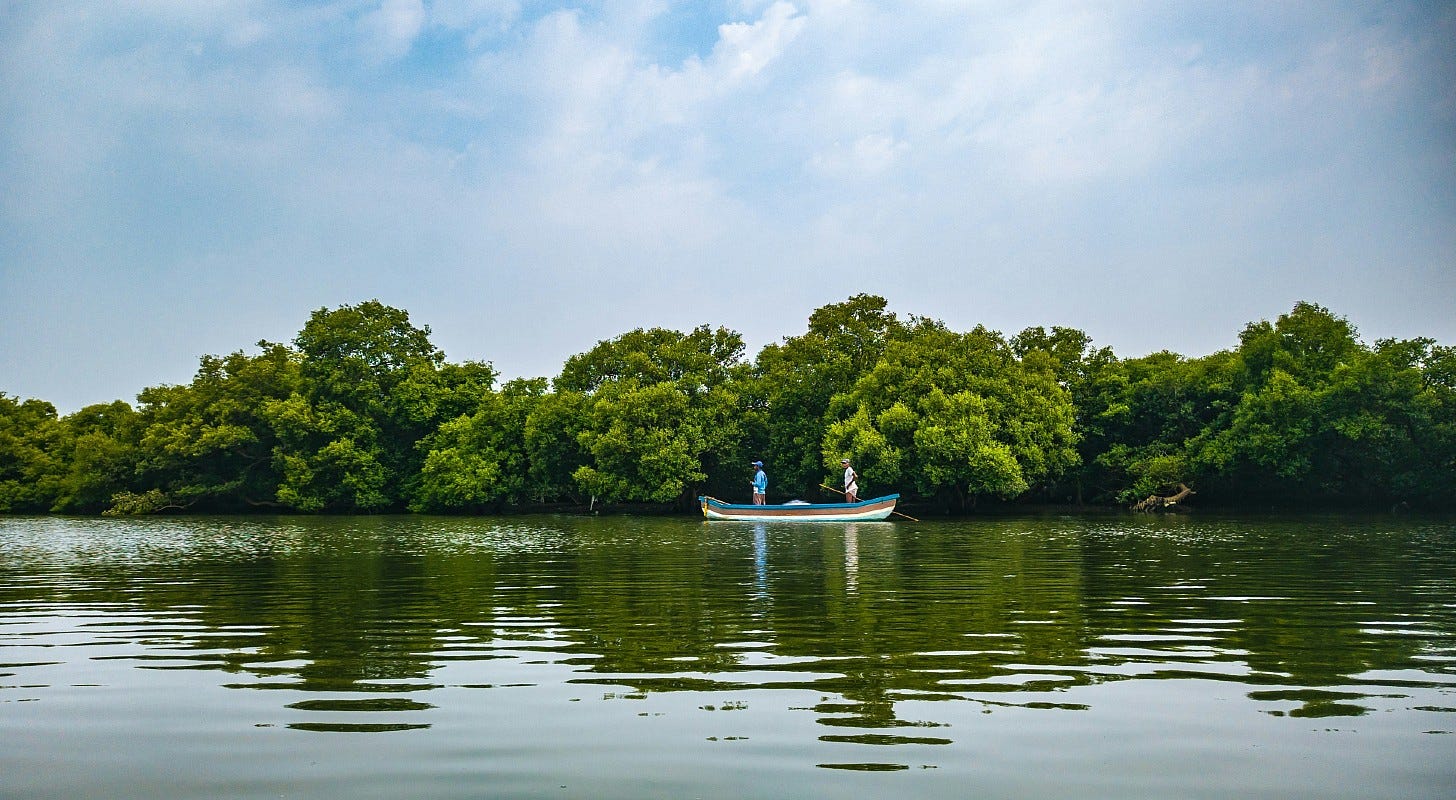 men in a boat next to mangroves