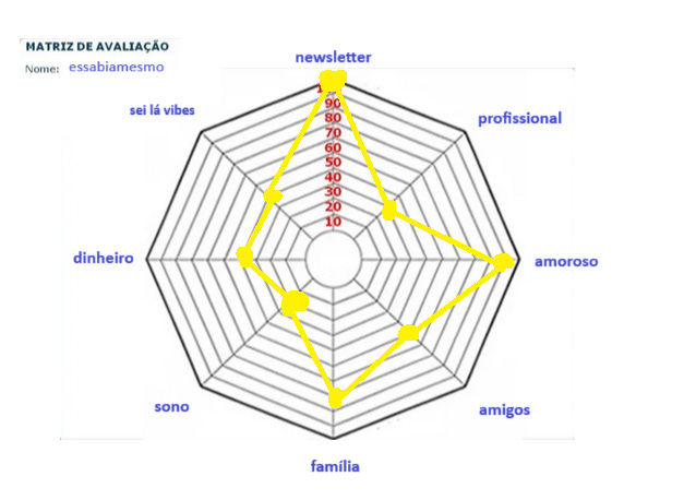 mandala com as marcações para “essabiamesmo”. as dimensões e suas respectivas notas são: newsletter - 100, profissional - 30, amoroso - 90, amigos - 40, família - 70, sono - 30, dinheiro - 40, sei lá vibes - 40