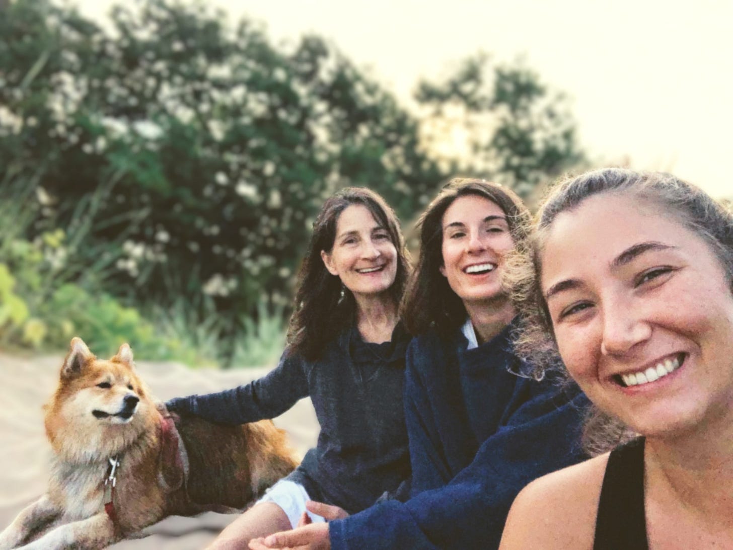 A mom, 2 daughters and a red furred dog sitting in sand by a forest