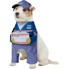 Rocky Pet Costume - Walmart.com