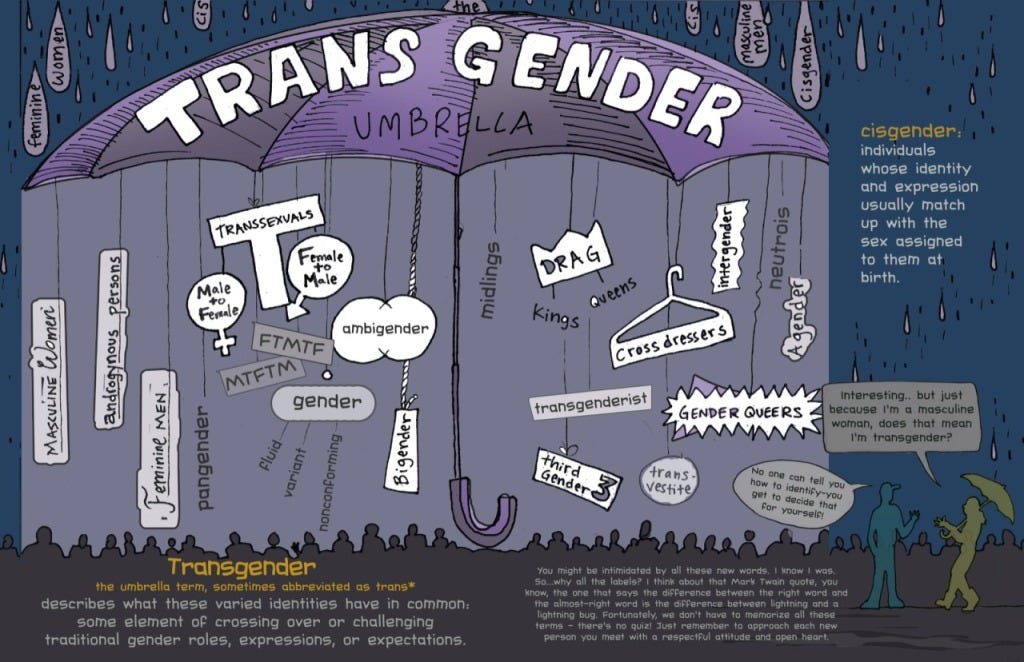 The Transgender Umbrella from The Gender Book 2013