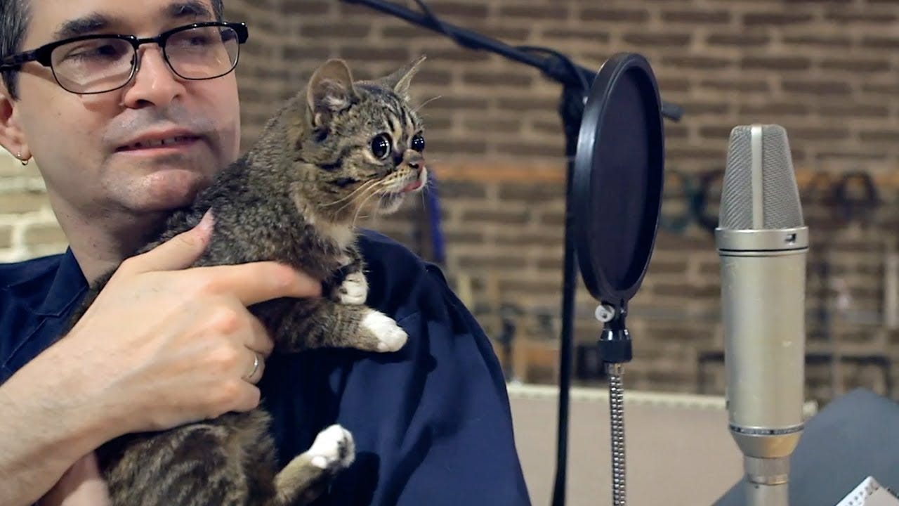 Lil BUB's Big SHOW Episode 3 TEASER - with Steve Albini