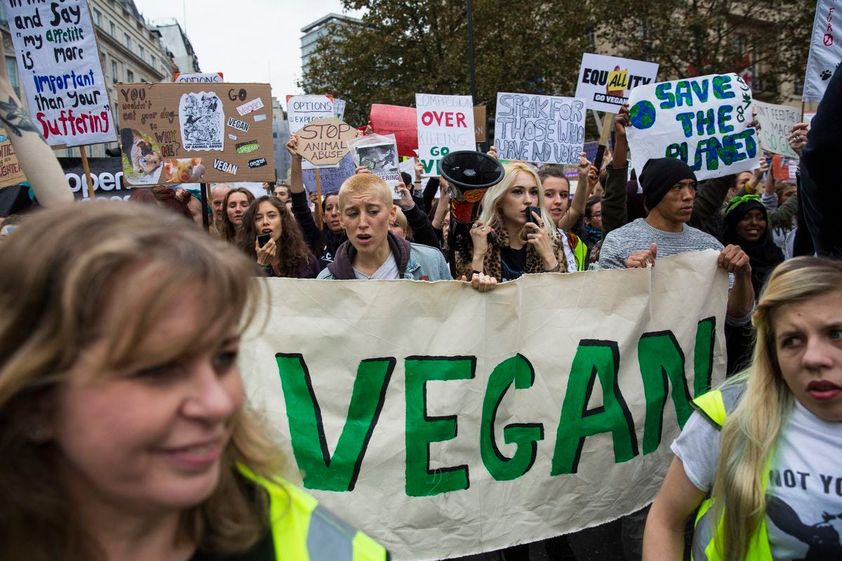 Animal Rights Demonstration Organised By Surge Takes Place In Central London