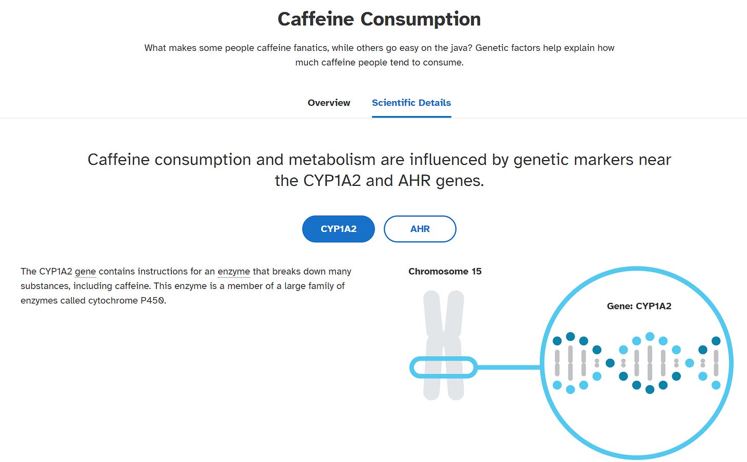 Metabolismo de la cafeína