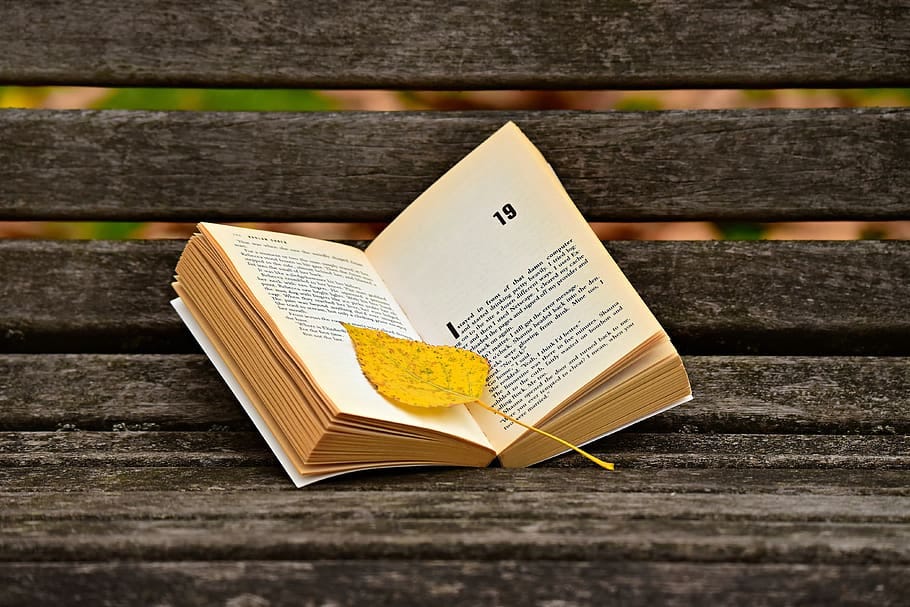 A paperback book opened to chapter 19 on a wooden bench with a yellow leaf resting on its pages.