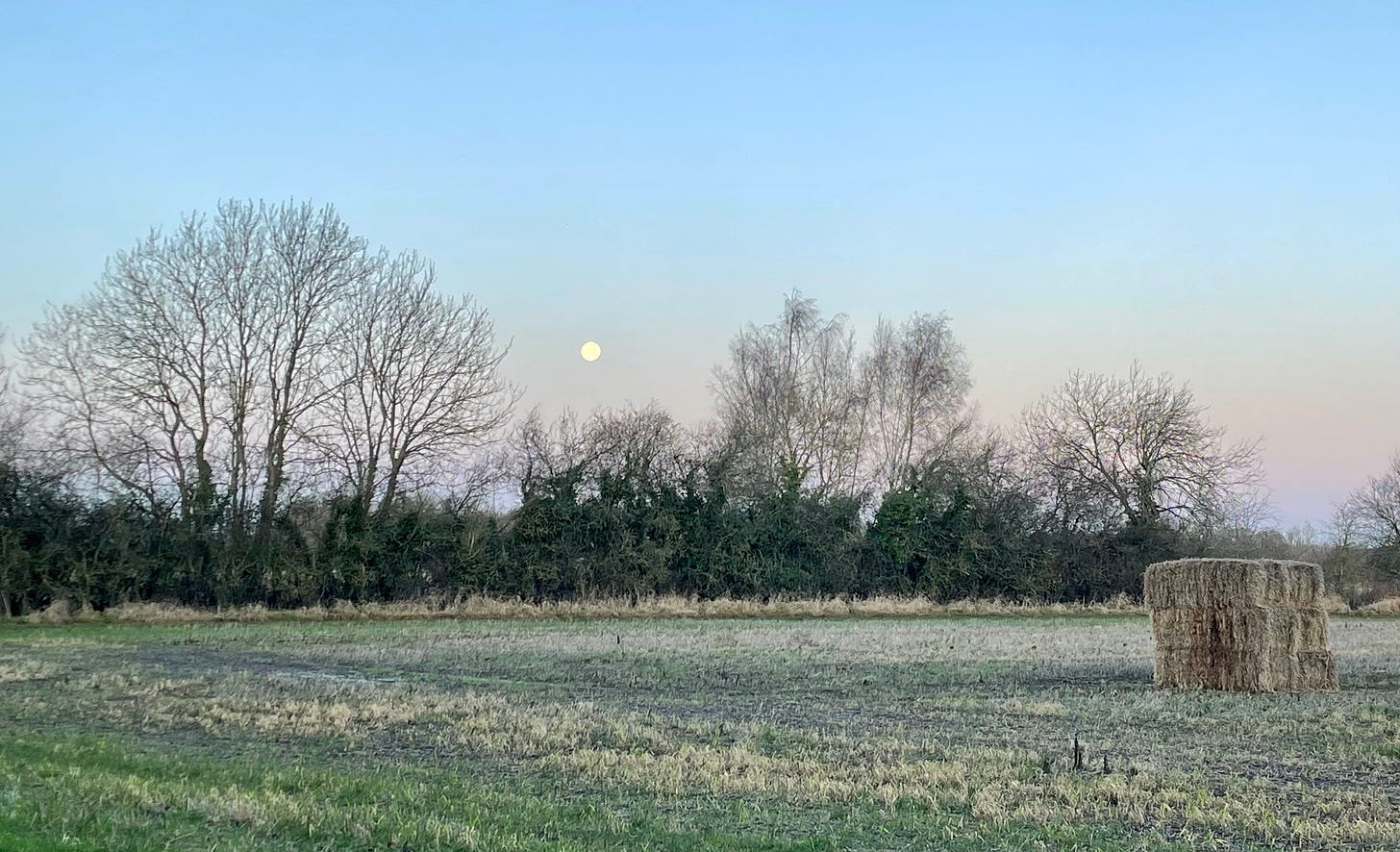 Full moon over a field