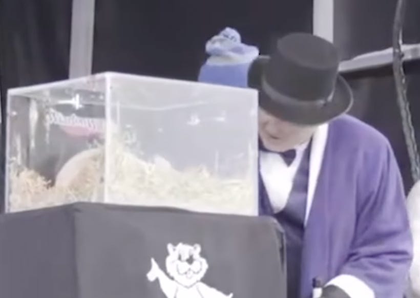 Wiarton Willie Predicts Early Spring at 2025 Groundhog Day Ceremony