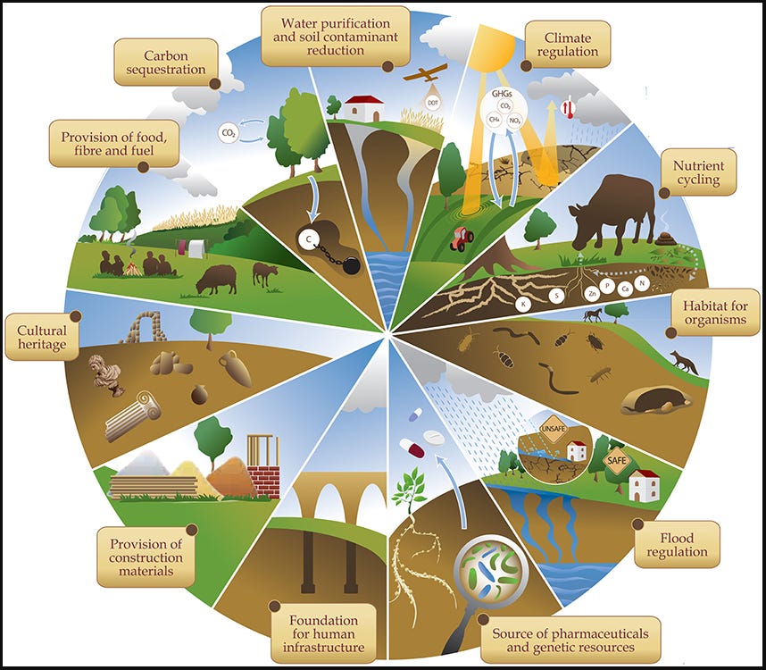 Soil Ecosystems Services; #NatureMatters #EcosystemServices
