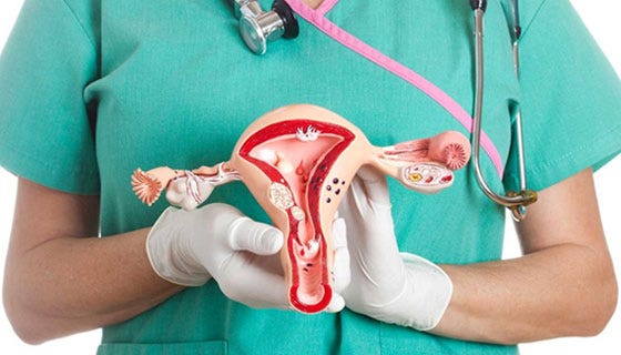 Hysterectomy | Johns Hopkins Medicine