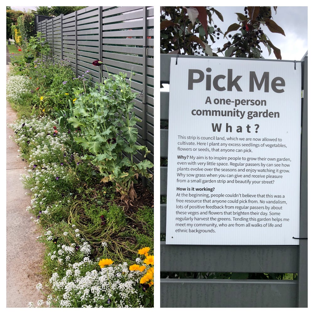 Two photos side by side. On the left is a narrow strip of garden along a fence, with poppies and other plants that can be picked. On the right, a photo of the sign that explains how the community garden works.