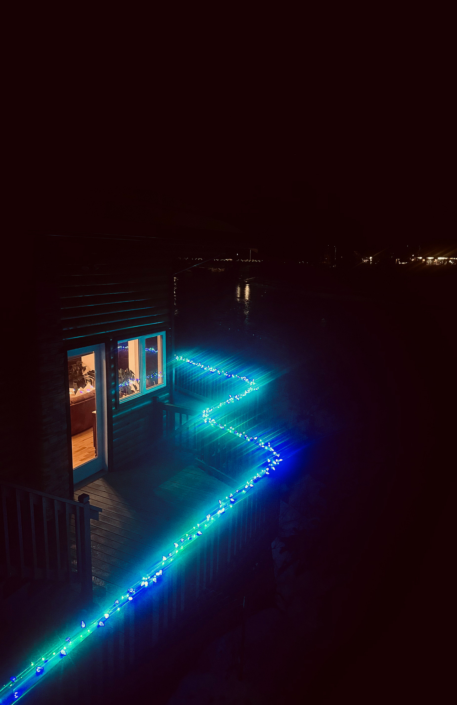 dark sky and christmas lights