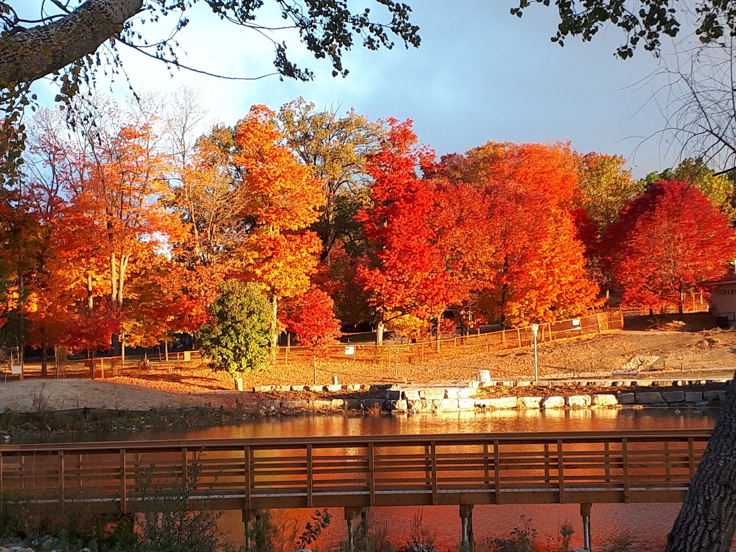 Waterloo Park in the fall with red, orange, and yellow leaves on the trees. Water is in the foreground with a bridge passing over it.
