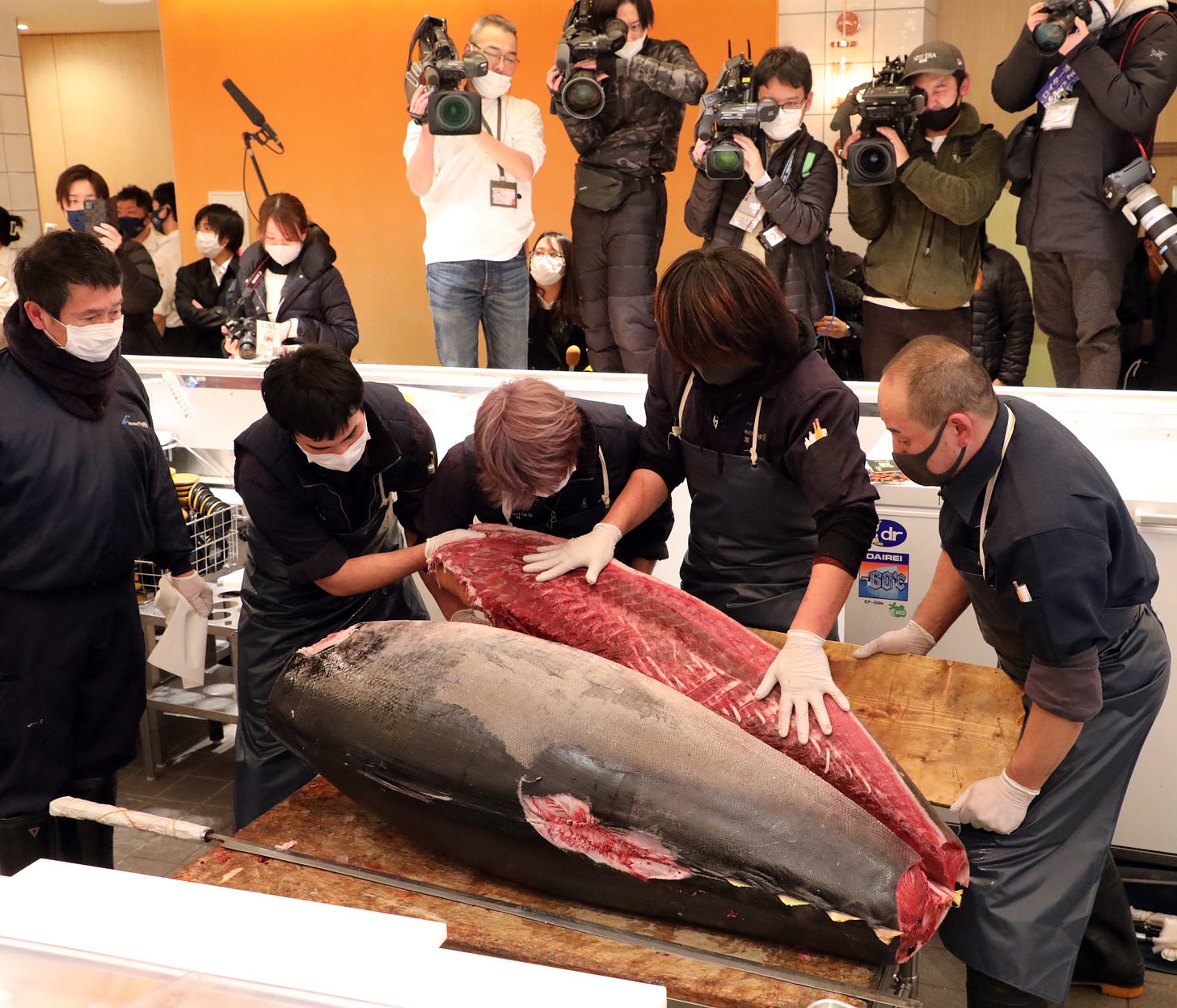 Giant bluefin tuna sold for £10.7m at new year auction in Japan — down for  third year | The Independent