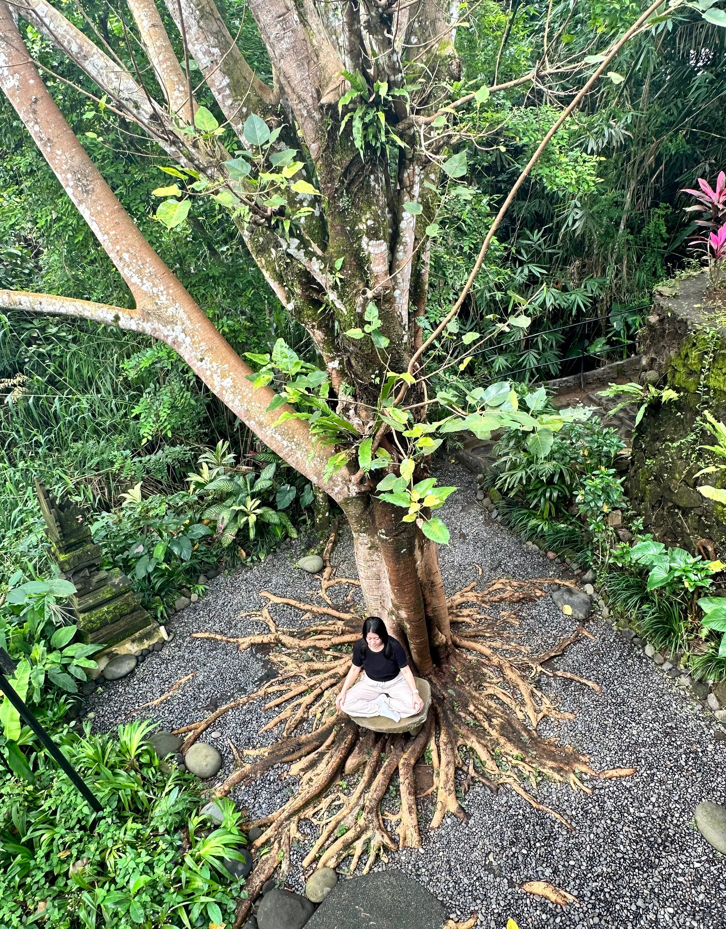 Meditating under a Bodhi Tree at Being Sattvaa, Ubud, Bali