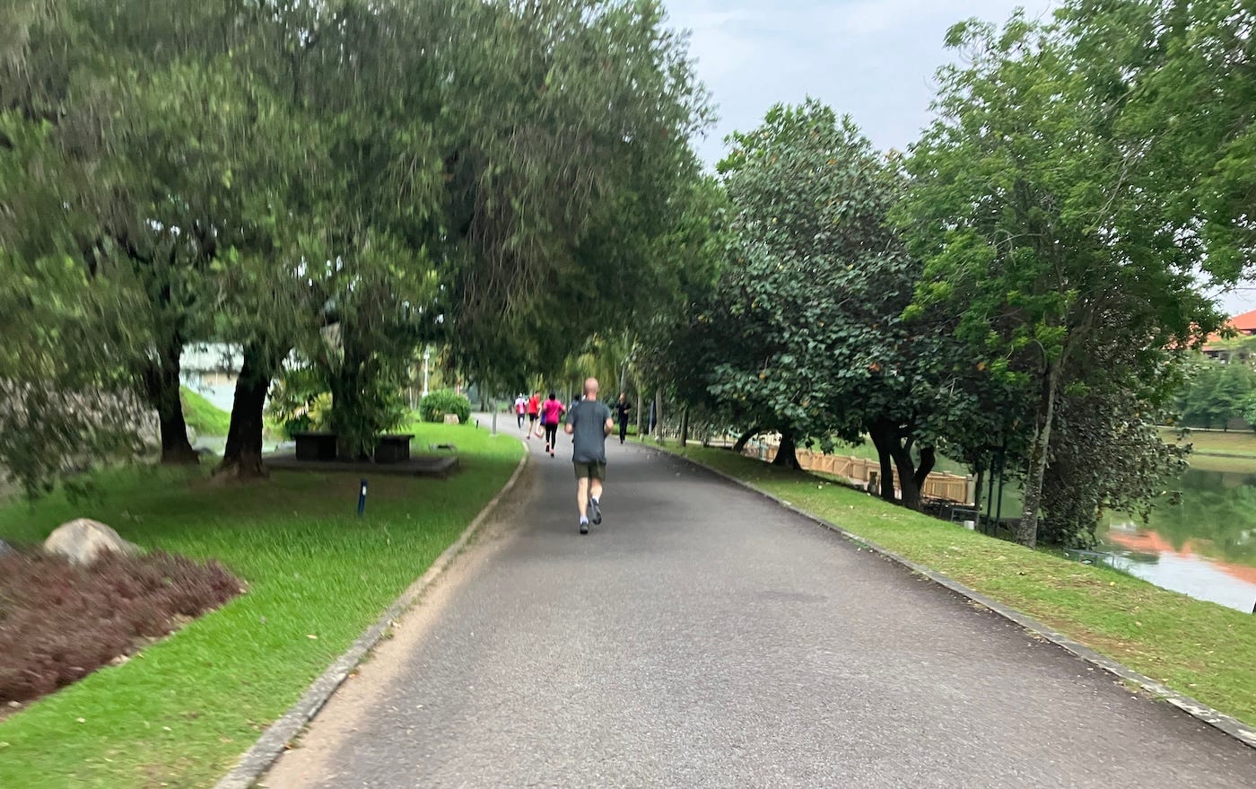 Runners on a wide path with parts shaded by trees