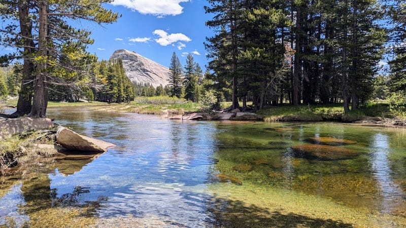 Beautifully clear river flowing in a meadow over rocks in Yosemite National Park's Tuolumne Meadows